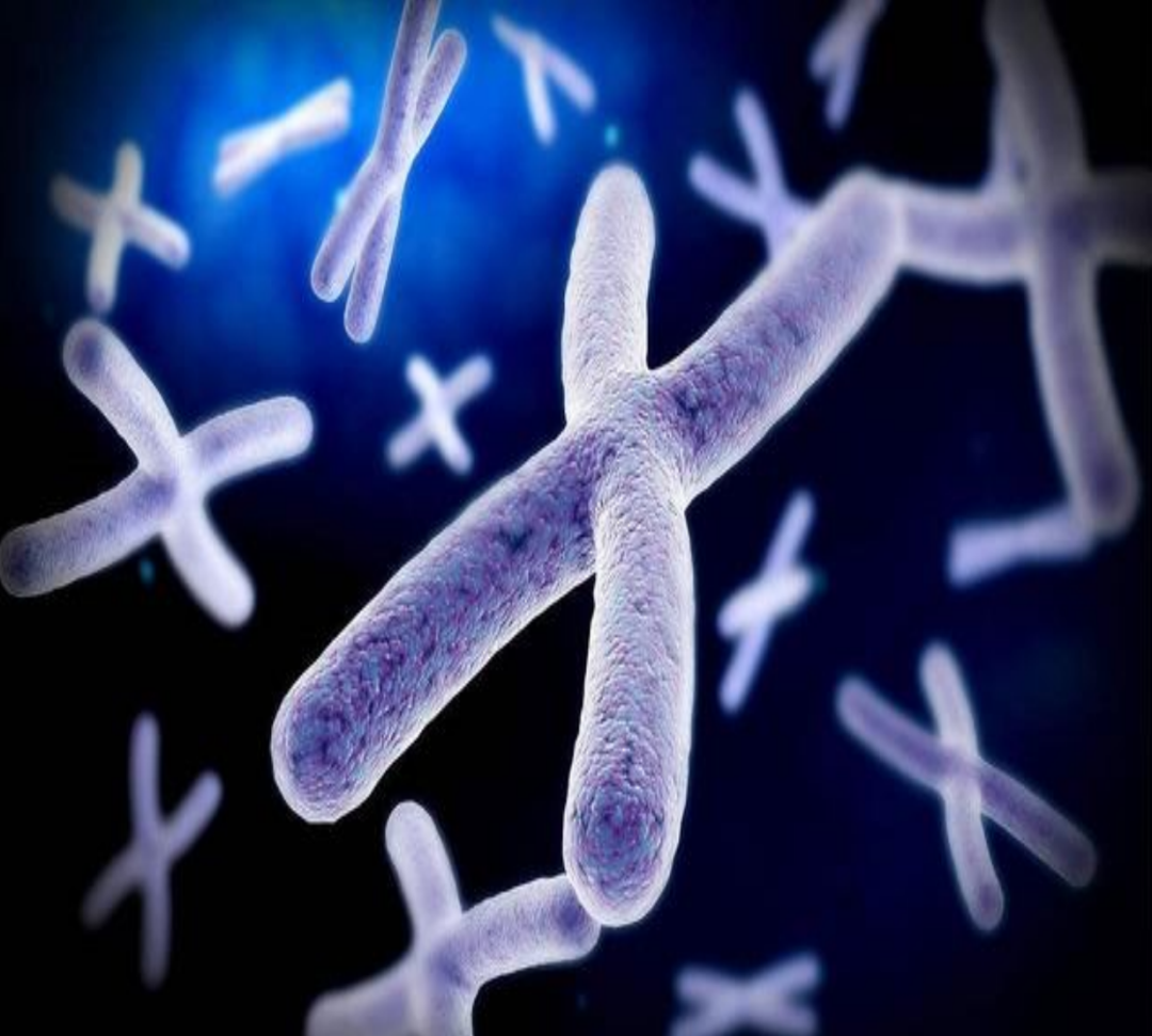 泰国LRC生殖中心(图21)