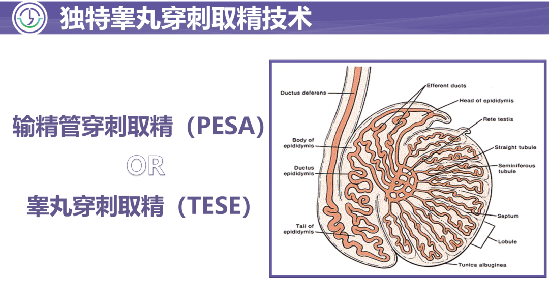 泰国LRC生殖中心(图24)