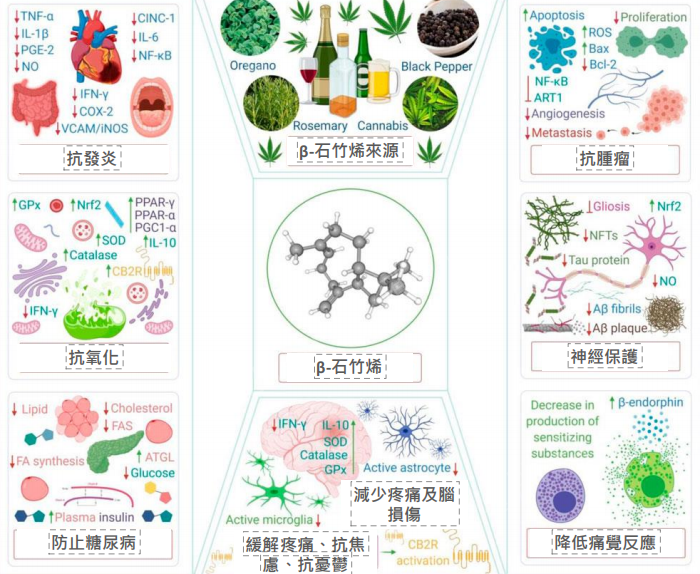 舒宁悦滴剂(图3)