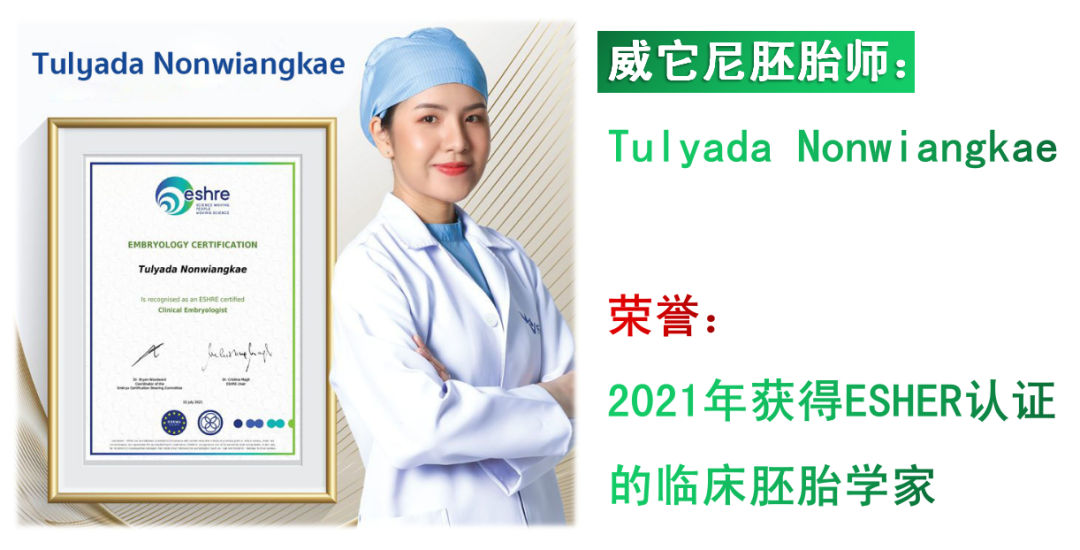 威它尼医院(图17)