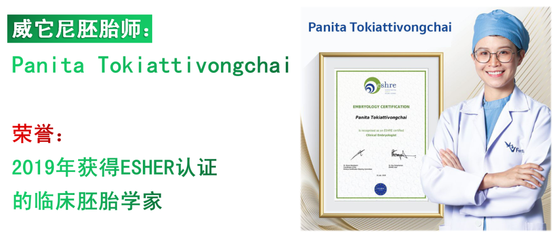 威它尼医院(图16)