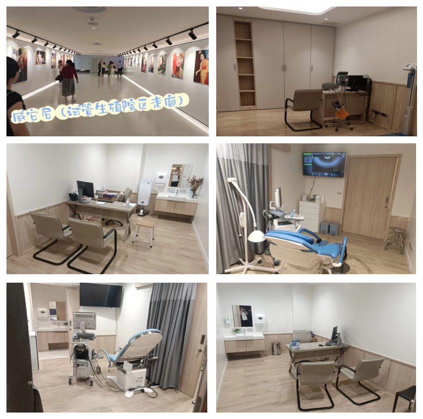 威它尼医院(图20)