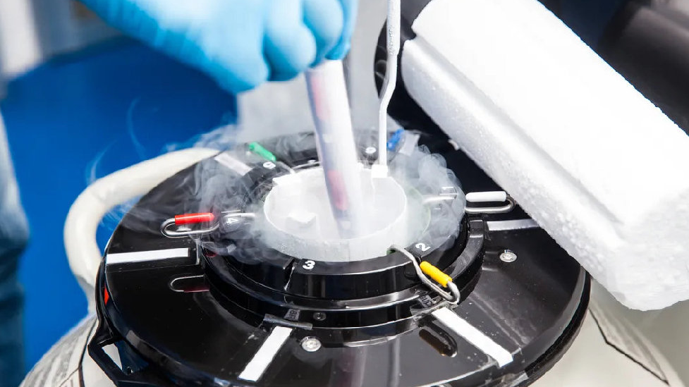 威它尼医院(图29)